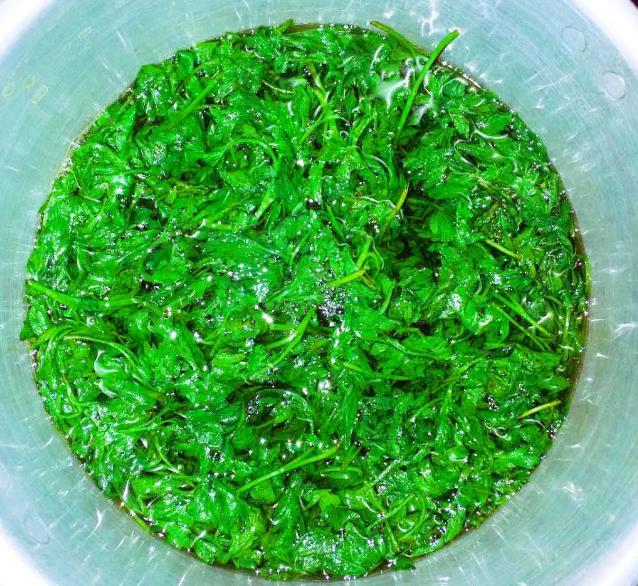 有一定的药用价值,不为人知的它药用价值很高