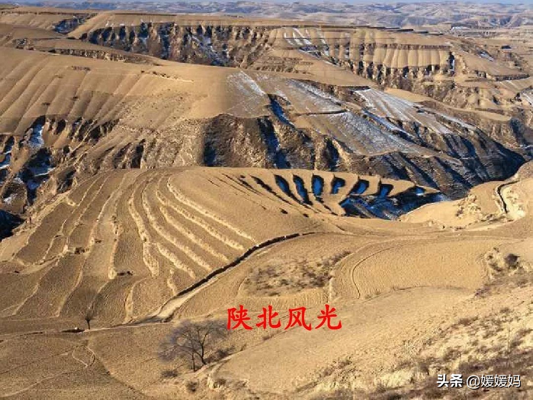 安塞腰鼓部编版,八下语文安塞腰鼓知识点