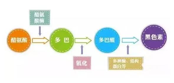 白癜风黑色素完全脱失还能恢复吗,白癜风黑色素脱失怎么激活