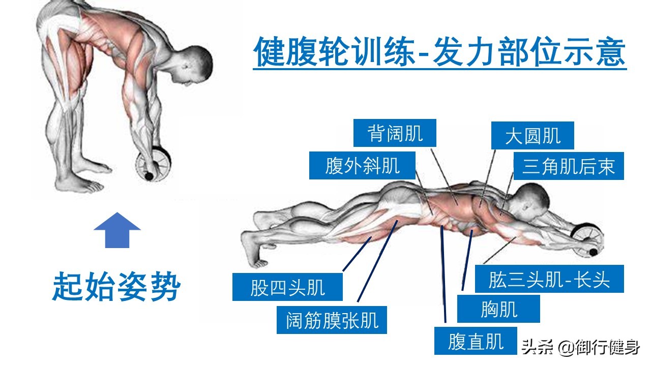 健腹轮怎么练腹肌平板支撑,练完健腹轮后腹肌痛正常吗