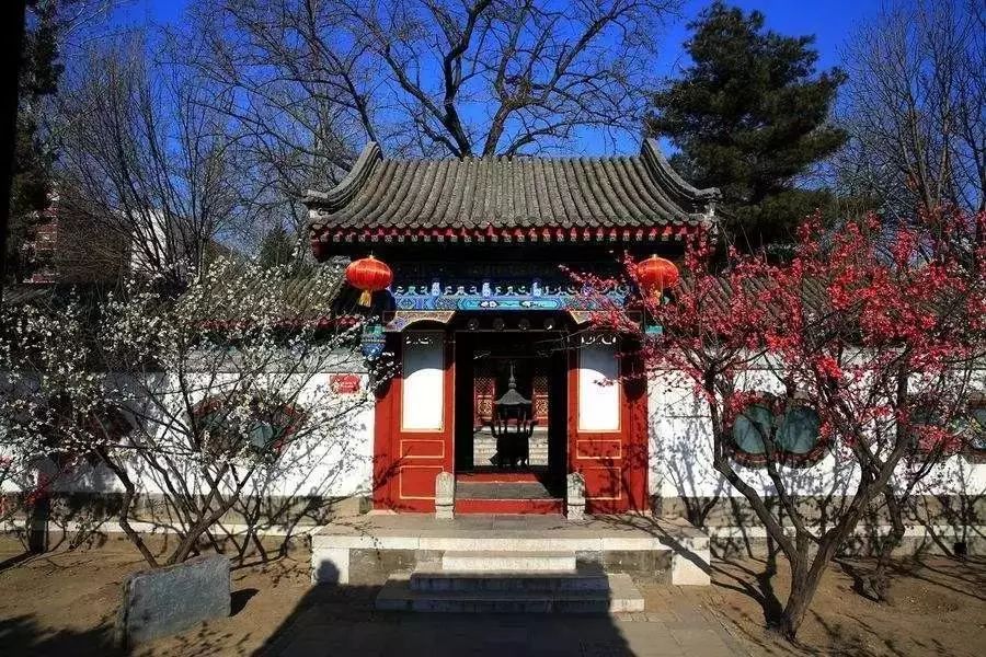 薛宝钗和薛夫人,薛宝钗和宝蟾