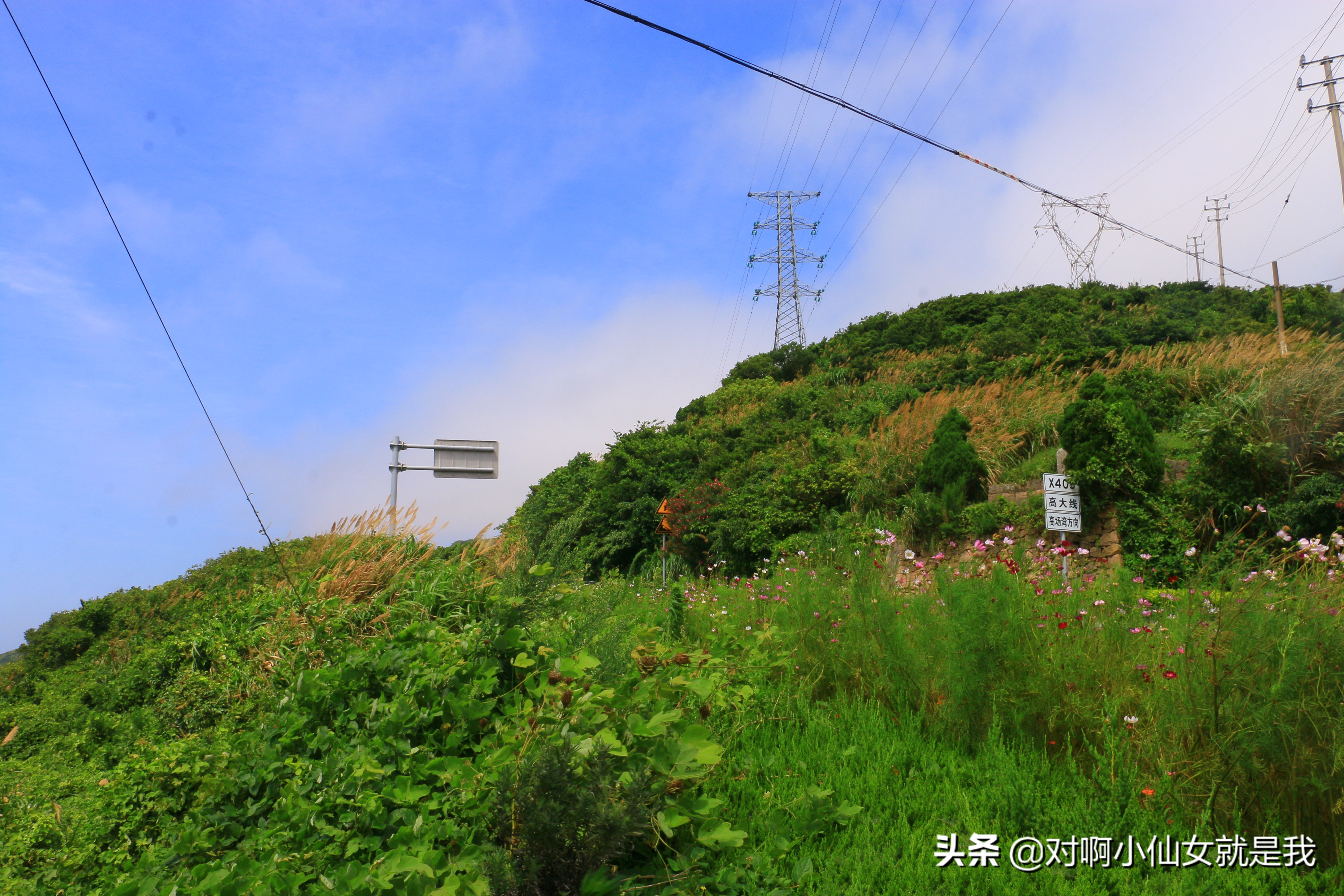 上海周边的海岛,上海周边最值得去的海岛