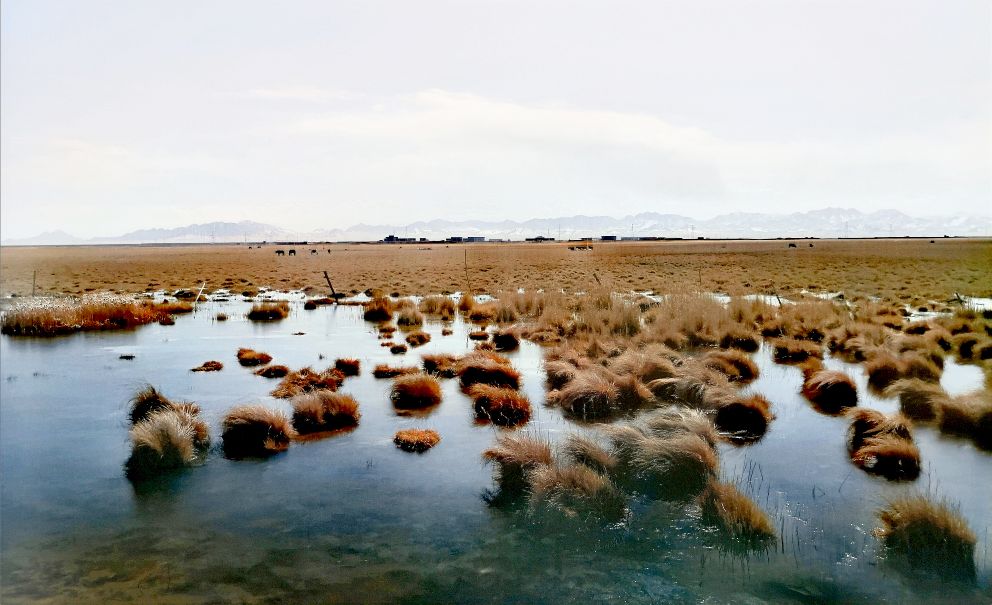 《西北独驾万里行》巍巍昆仑壮行色（十三）