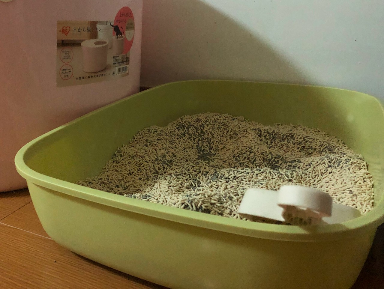 养过猫的房子味道大怎么去除味道,被子上猫的味道怎么去除