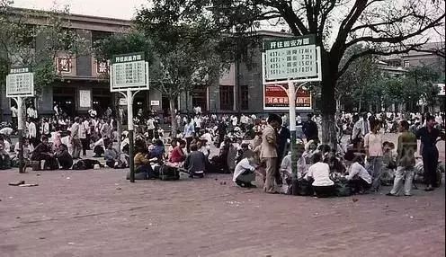 请回答郑州青年,请回答1988完整视频