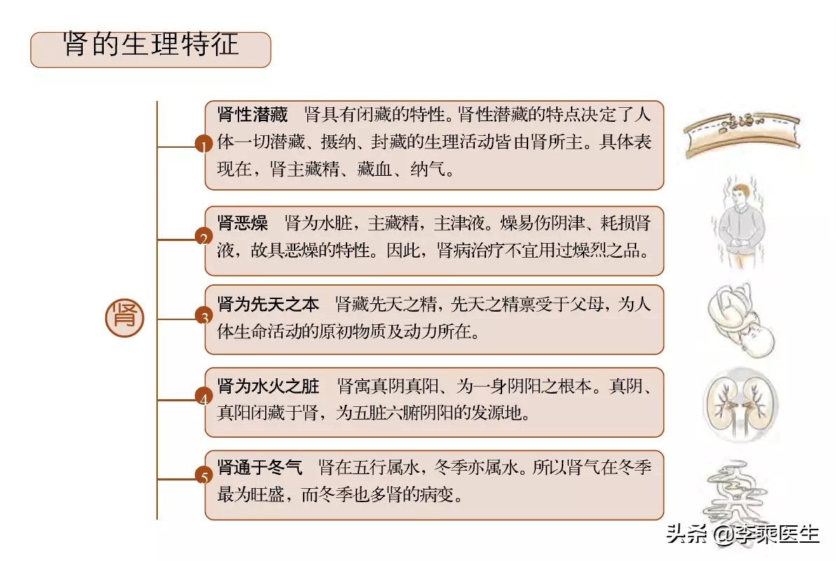养生护肾最好的方法,养肾护肾的黑色食物