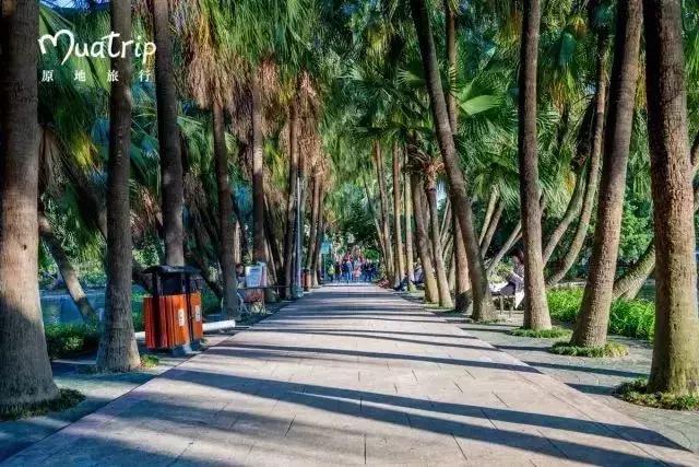 地铁直达!广州15个最适合春游的打卡点,春暖花开超好玩!