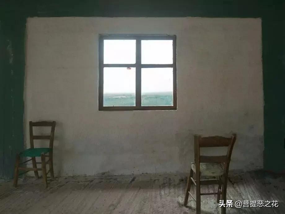 相爱后动物感伤介绍,相爱后的动物感伤时代