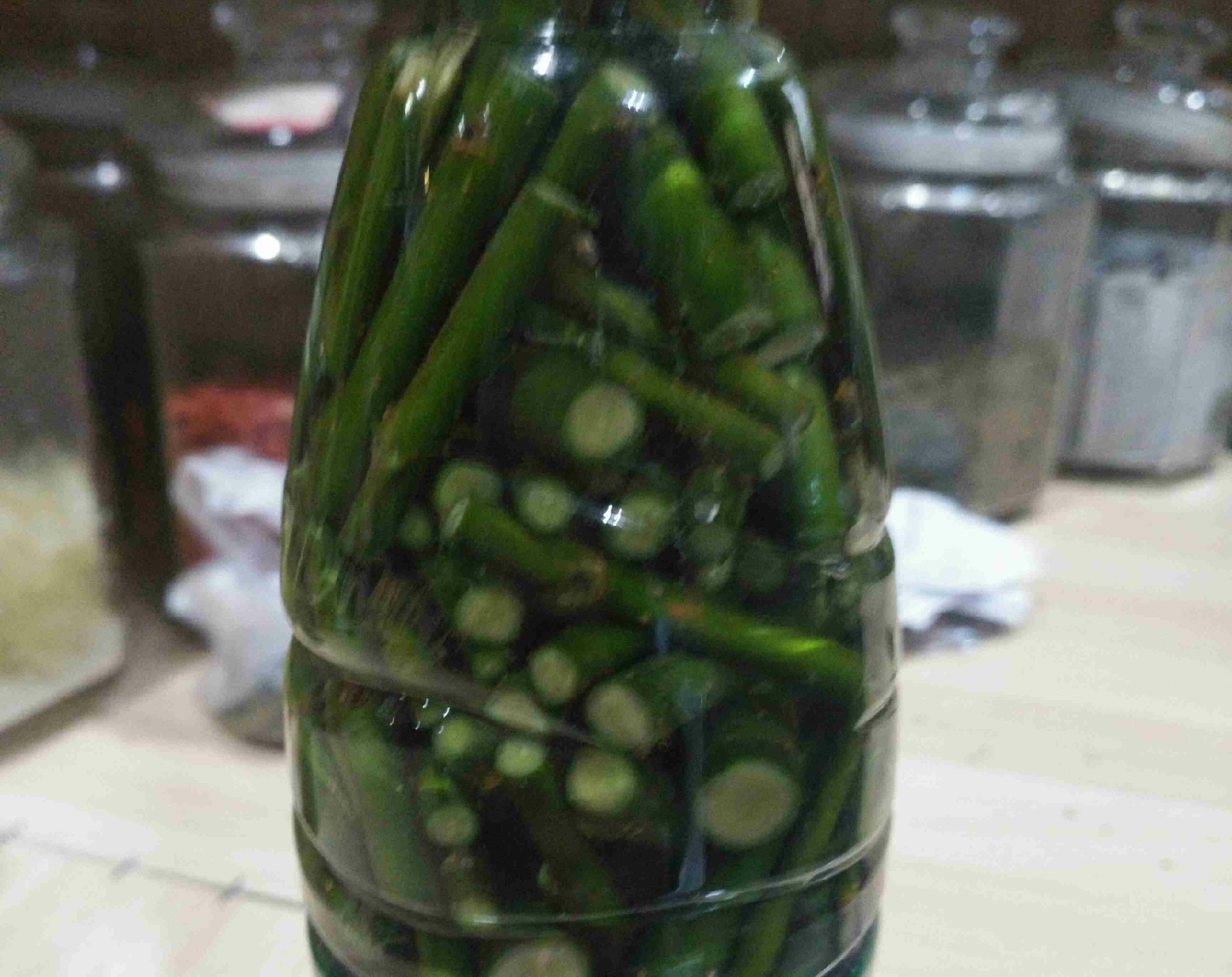 柳枝水能让君子兰快速生根,君子兰上盆柳树枝条浸泡