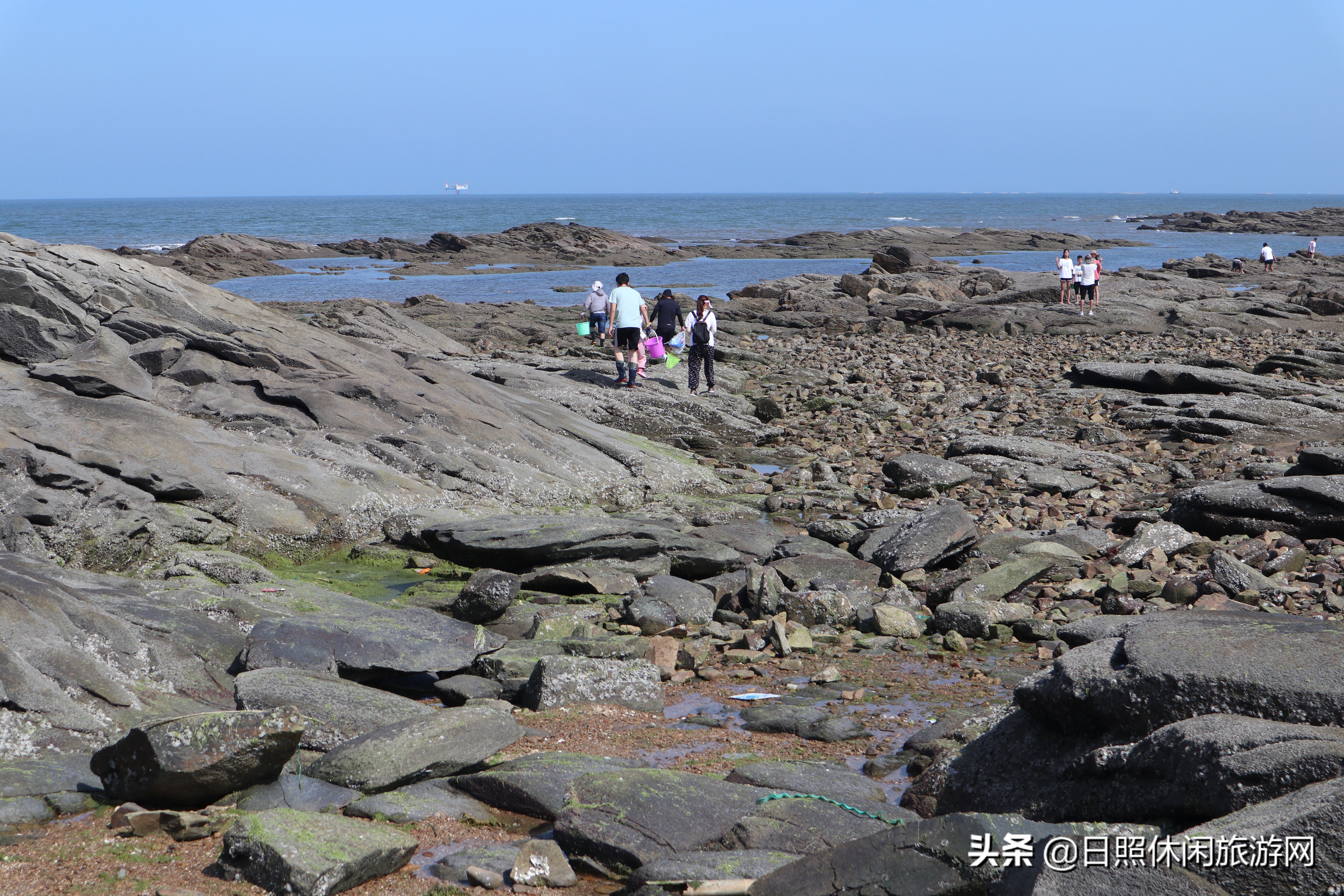 日照绿茶价格表,日照文旅