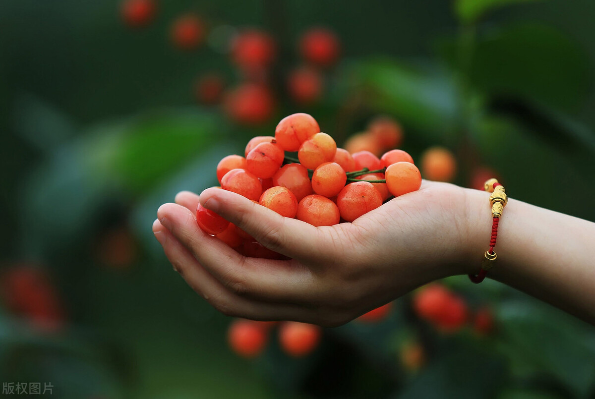 浙江余姚发展,国家为什么要大力发展浙江