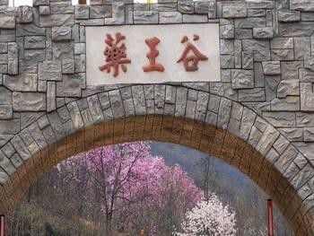 李子柒是四川绵阳平武哪里的人,美食旅游景点推荐博主