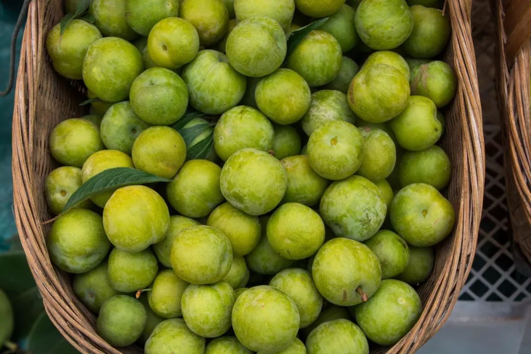 说秋道冬话永胜，气候多样人宜居