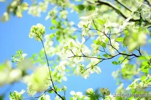 适合写心灵鸡汤的经典句子,男人心灵鸡汤句子精辟