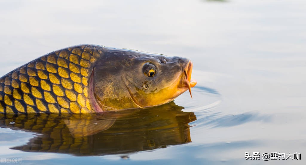 三种鱼竿,三根鱼竿要什么尺寸的好用