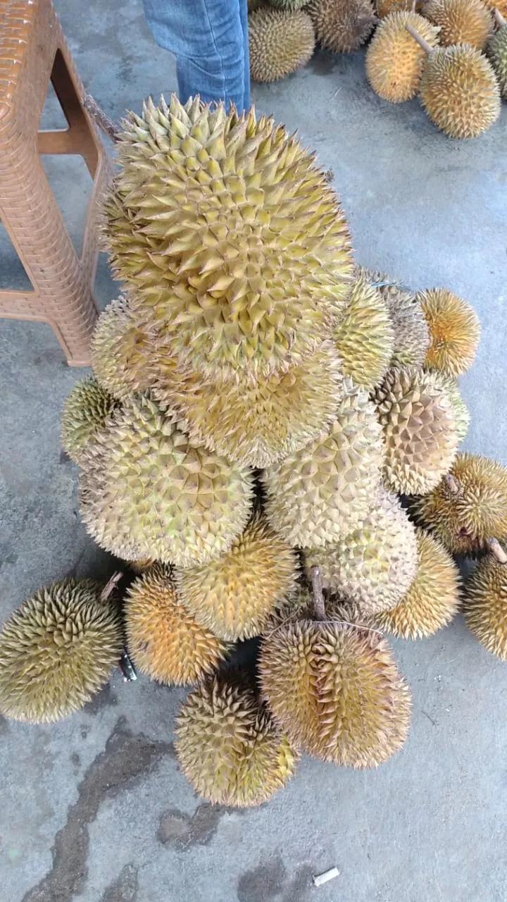 印度尼西亚吃的特产水果,印度尼西亚水果有哪些