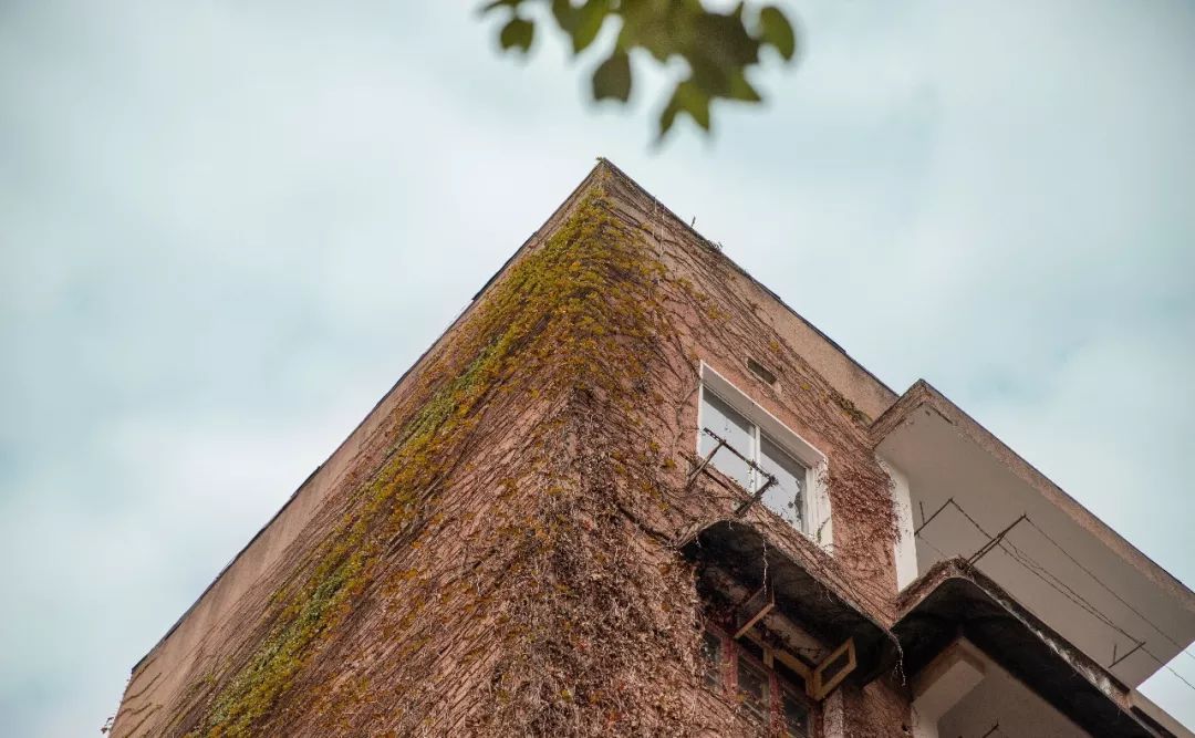 婀栧崡闀挎矙姘戞斂瀛﹂櫌,闀挎矙姘戞斂鑹烘湳瀛﹂櫌