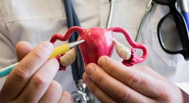 超高龄二胎备孕论坛,高龄二胎备孕检查项目