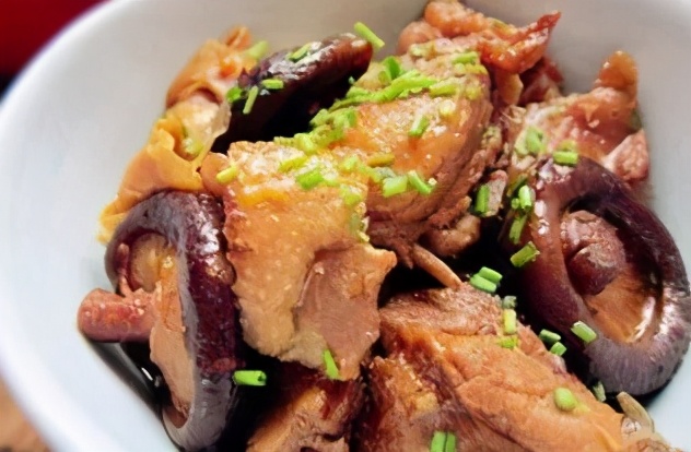 九龙坡区森林小学对口中学,2019重庆九龙坡区小学划片