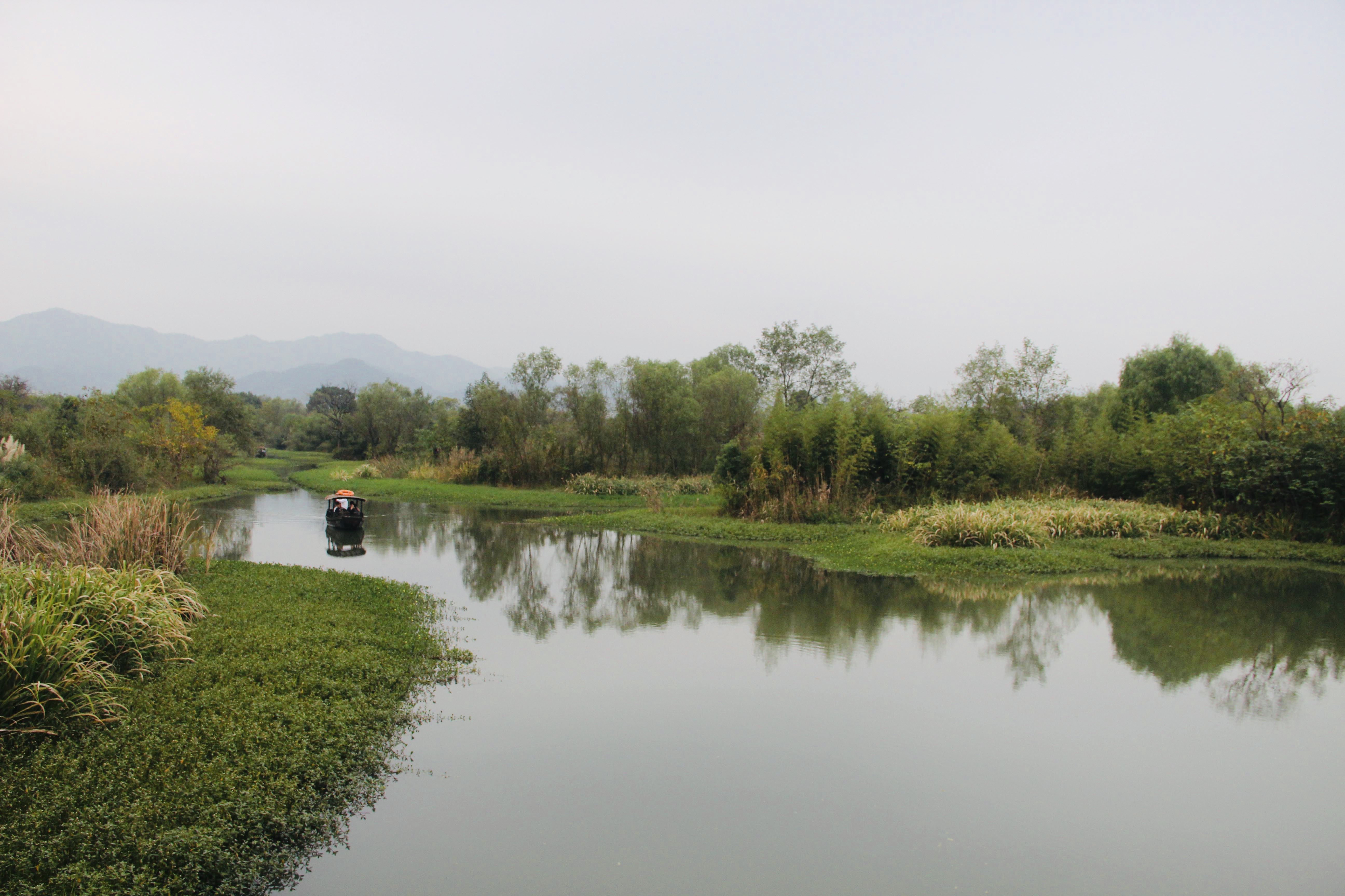 被誉为“杭州之肾”的西溪湿地值得去吗?网友:景色比西湖还美