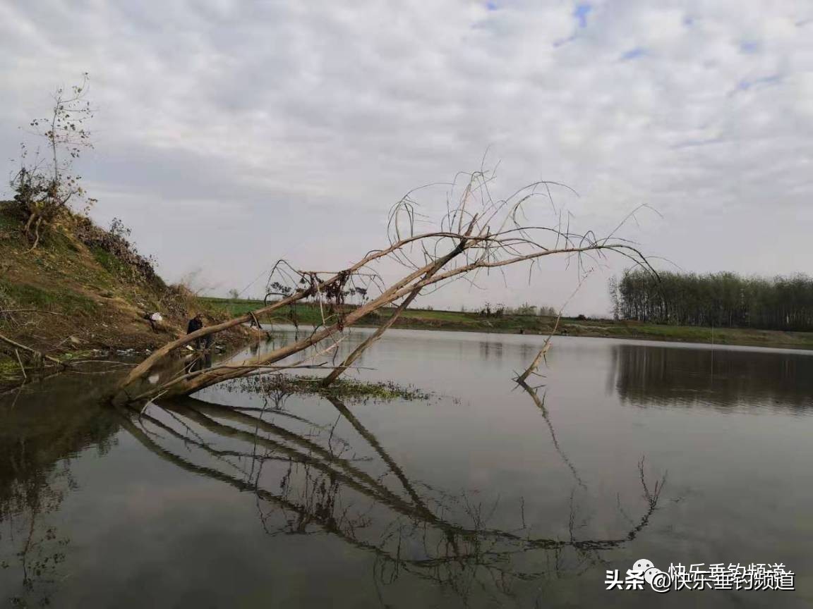 野钓小钩遇到大鱼怎么办,野钓挂钩怎么处理