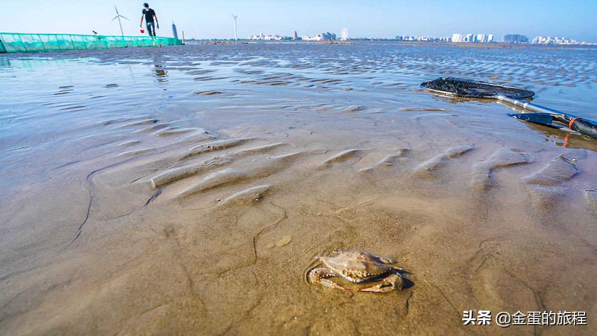 上海奉贤周末带娃好去处10岁左右,上海奉贤周末遛娃好去处推荐