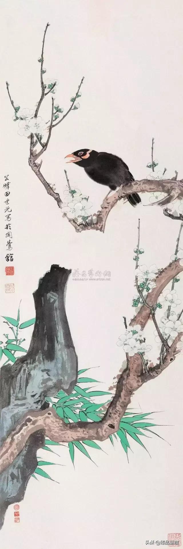 工笔大师田世光,工笔画大师田世光画孔雀好美