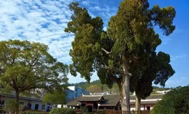 福建最宜居小城,福建值得去的小镇