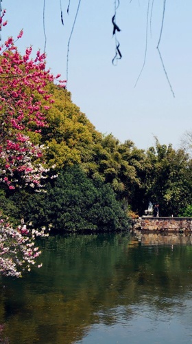 无锡蠡园逛多久,无锡蠡园攻略