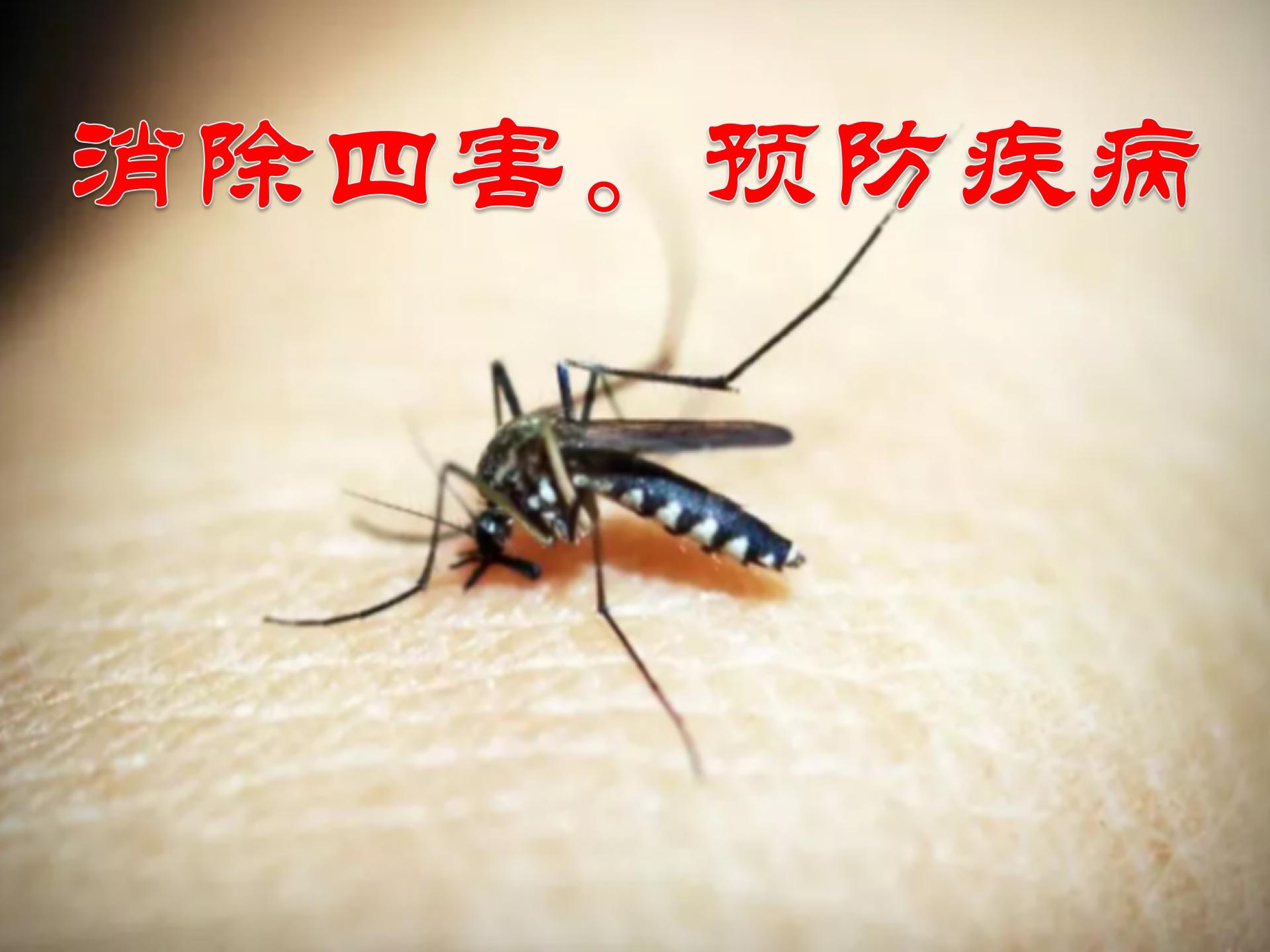 代理四害消杀资质办理流程,四害消杀资质代办公司