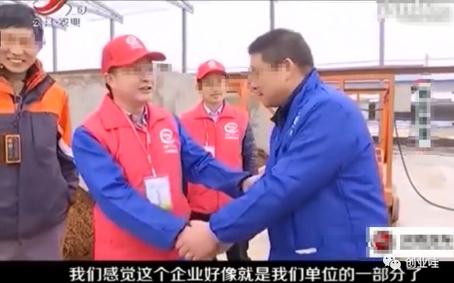 笼养鸭与散养鸭的优缺点,笼养鸭和笼养鸡