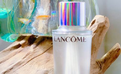 雅诗兰黛兰蔻哪个比较好 (雅诗兰黛兰蔻哪一个更好)