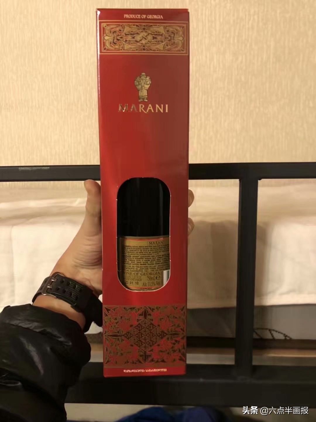 骑着单车去南非！格鲁吉亚入境！旅行日记（六十四）