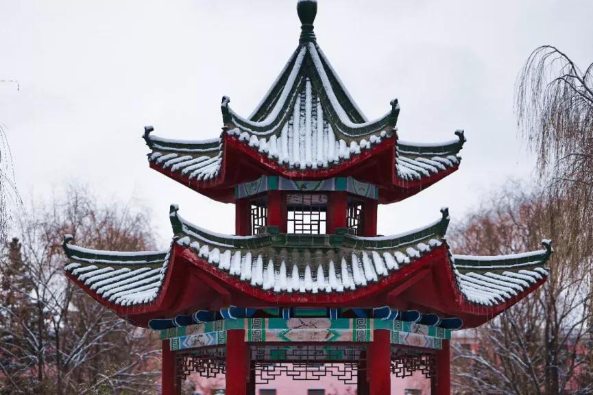 “你在看什么?”“兰大的烟火气”