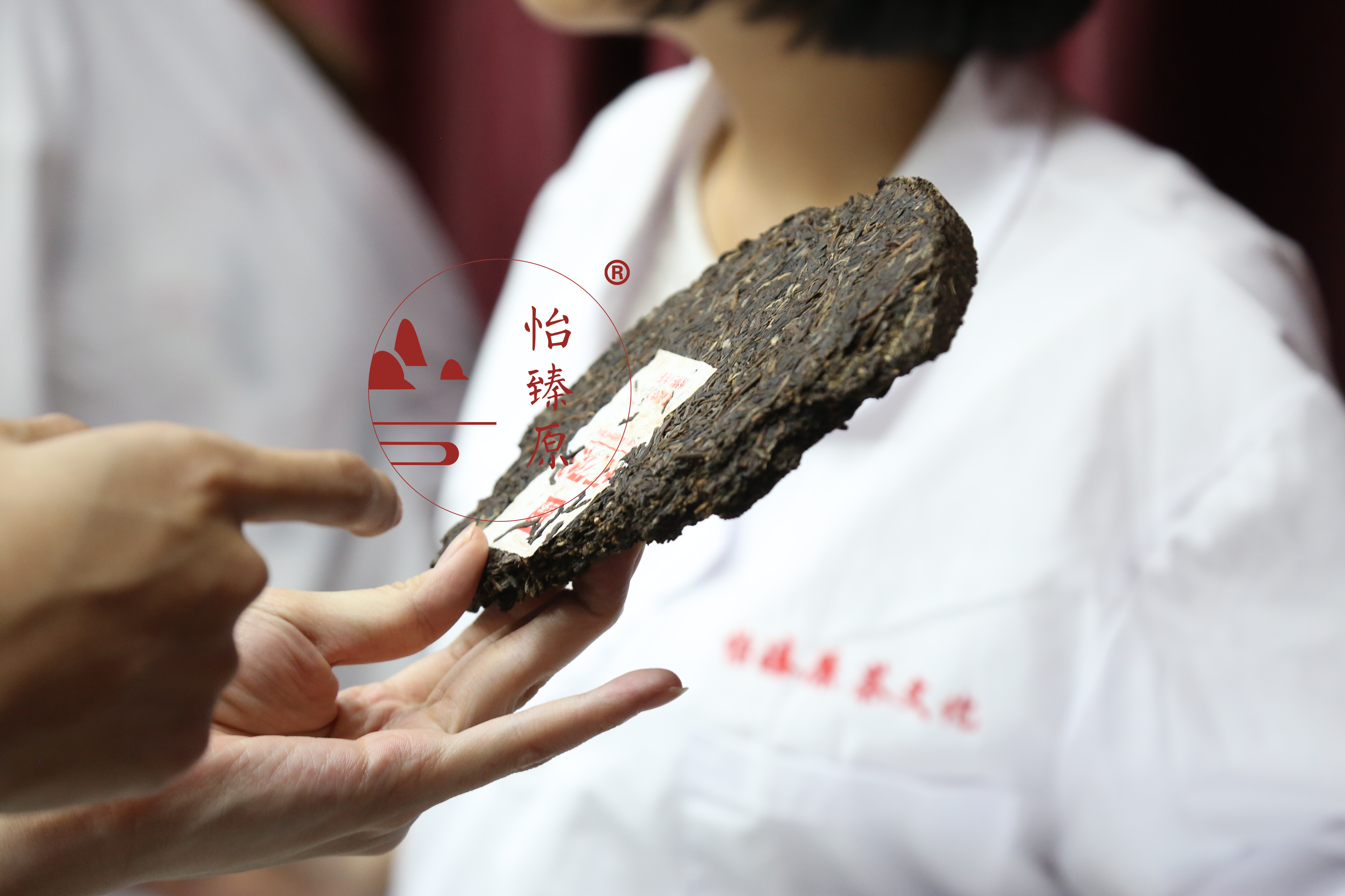 茶艺师：如何通过茶汤辨别普洱茶的品质？附大益7542、7572的由来