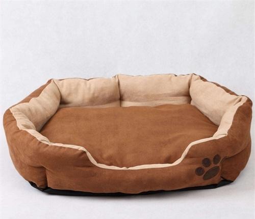 比熊精神状态不好腿有点打哆嗦,比熊洗澡可能拉肚子吗