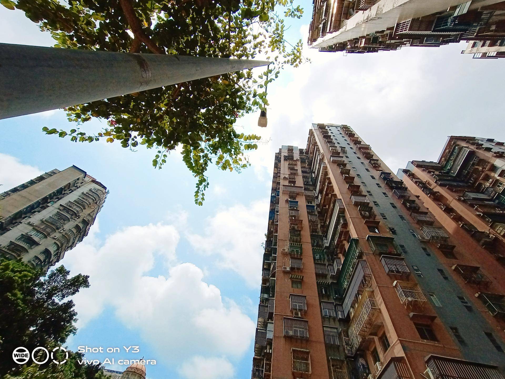 vivoy3标准版的秘密,vivoY3手机测评