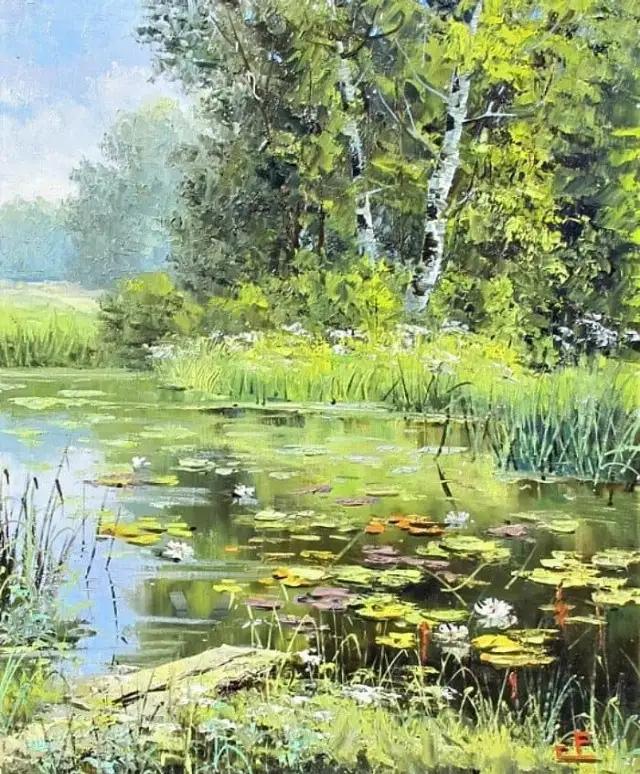 冬天的白桦林视频,冬天的白桦林美景