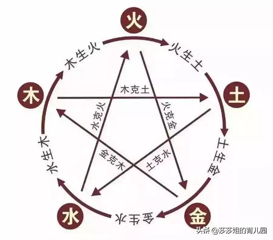 五脏养生的四季规律,五脏与体质养生