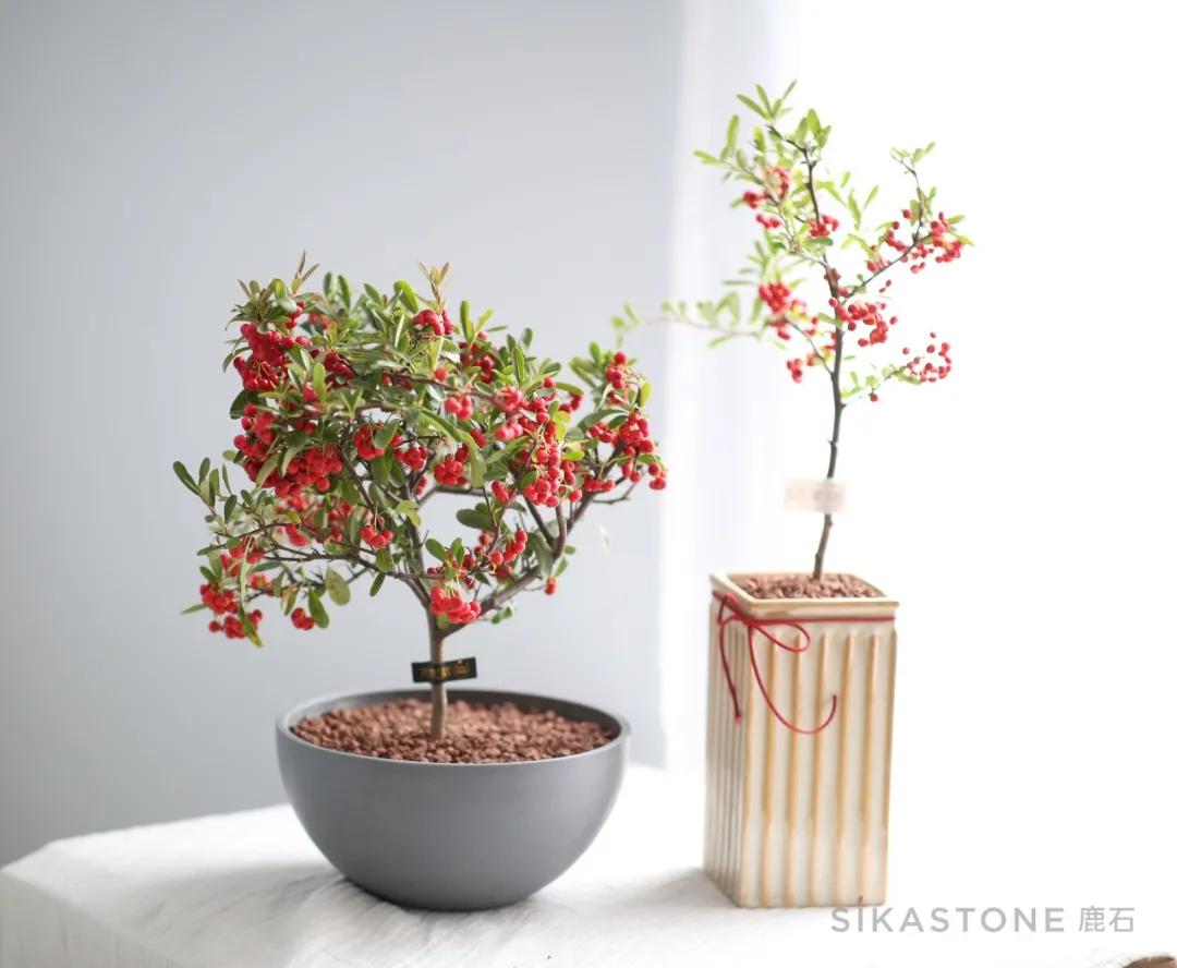 教你开一家美丽又赚钱的花店,花店初期如何把基础做到最好