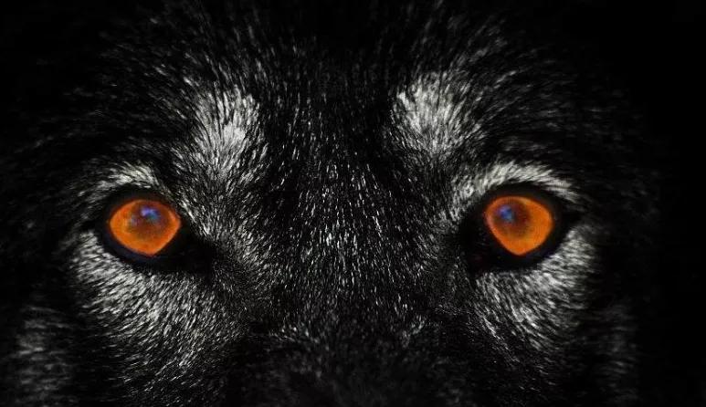 老实人怎么彻底改变自己,老实人电影