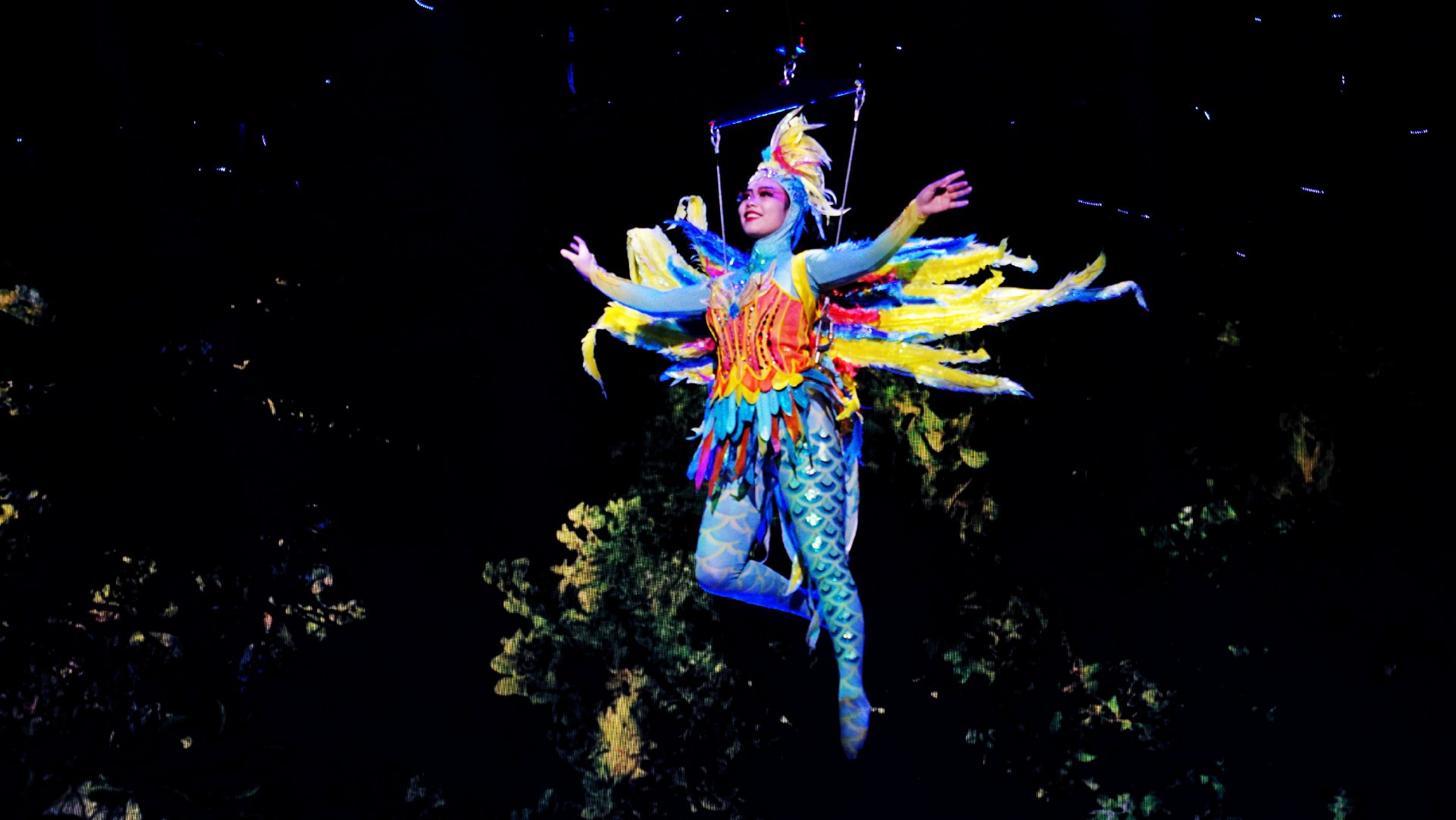 珠海长隆龙秀表演,珠海长隆大马戏龙秀还有吗