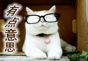 揭秘三河燕郊,大开眼界的牛