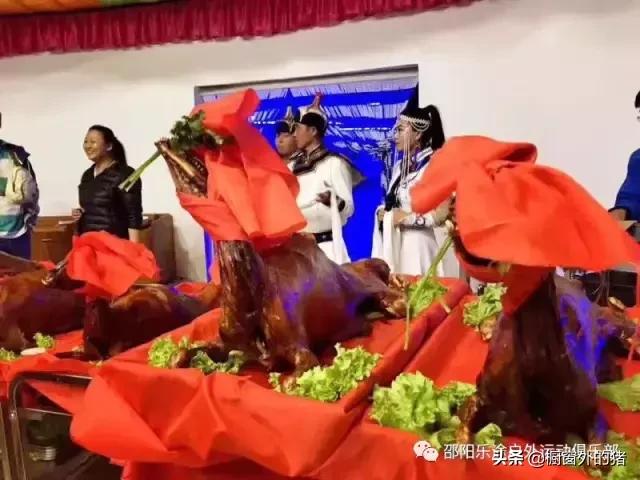 呼伦贝尔大草原七日自驾游攻略,呼伦贝尔大草原深度游