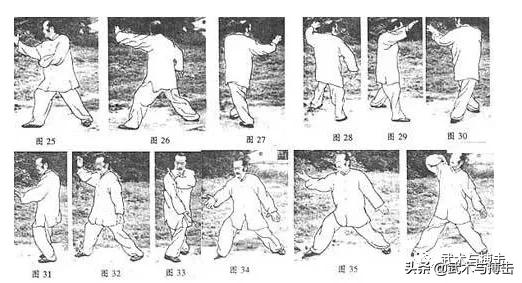 纯阳拳龙心掌视频,纯阳八步龙心掌