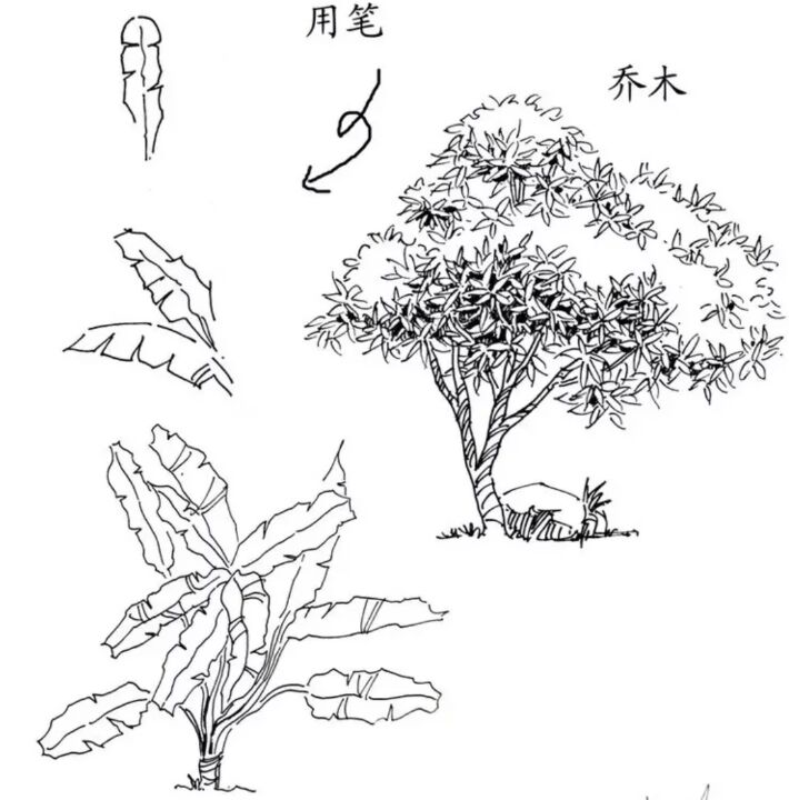 速写风景初学者入门教程炭笔,6-12岁儿童风景速写课程入门网课