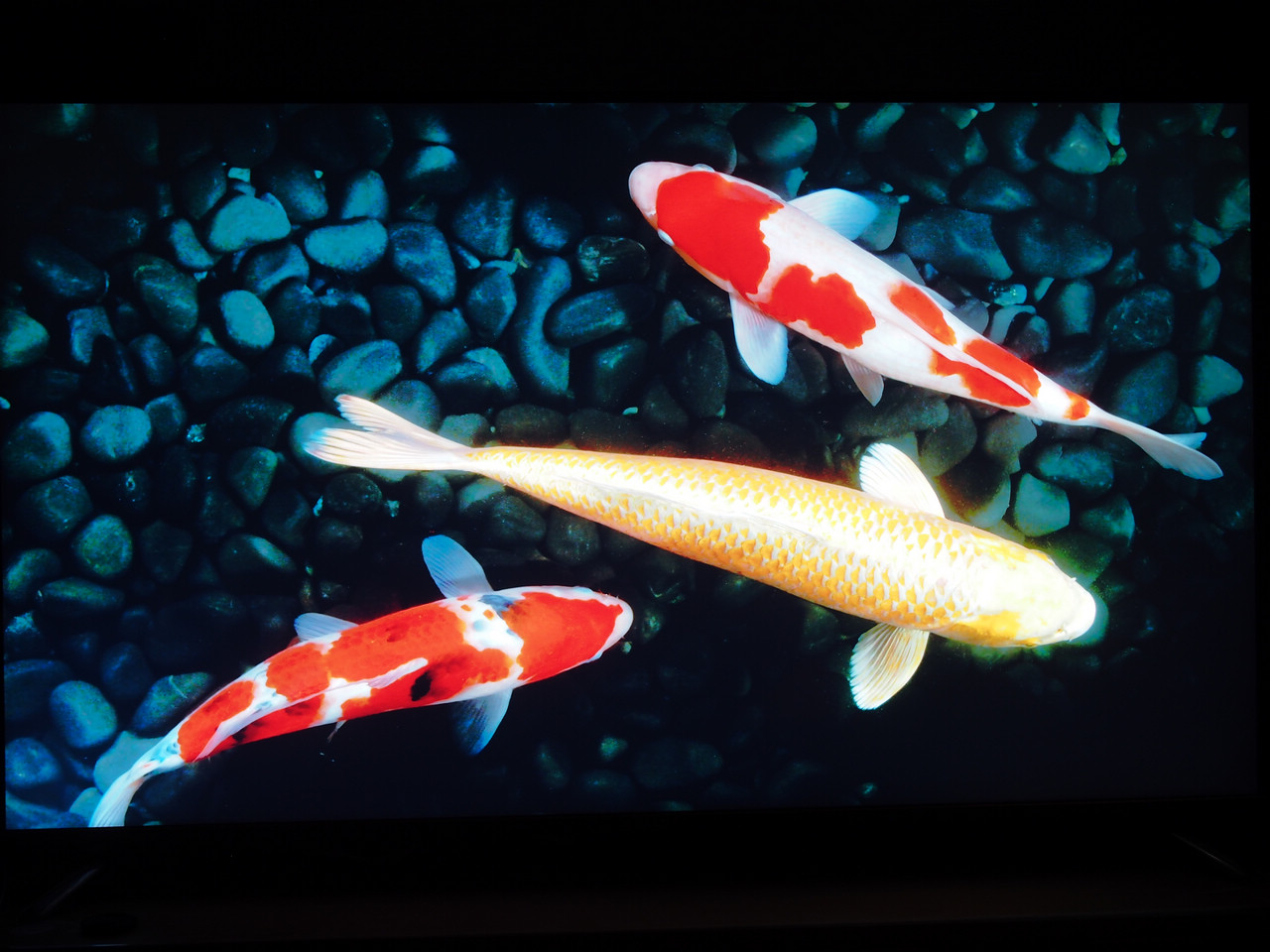 开博尔q54k蓝光播放器,开博尔q20plus蓝光播放器