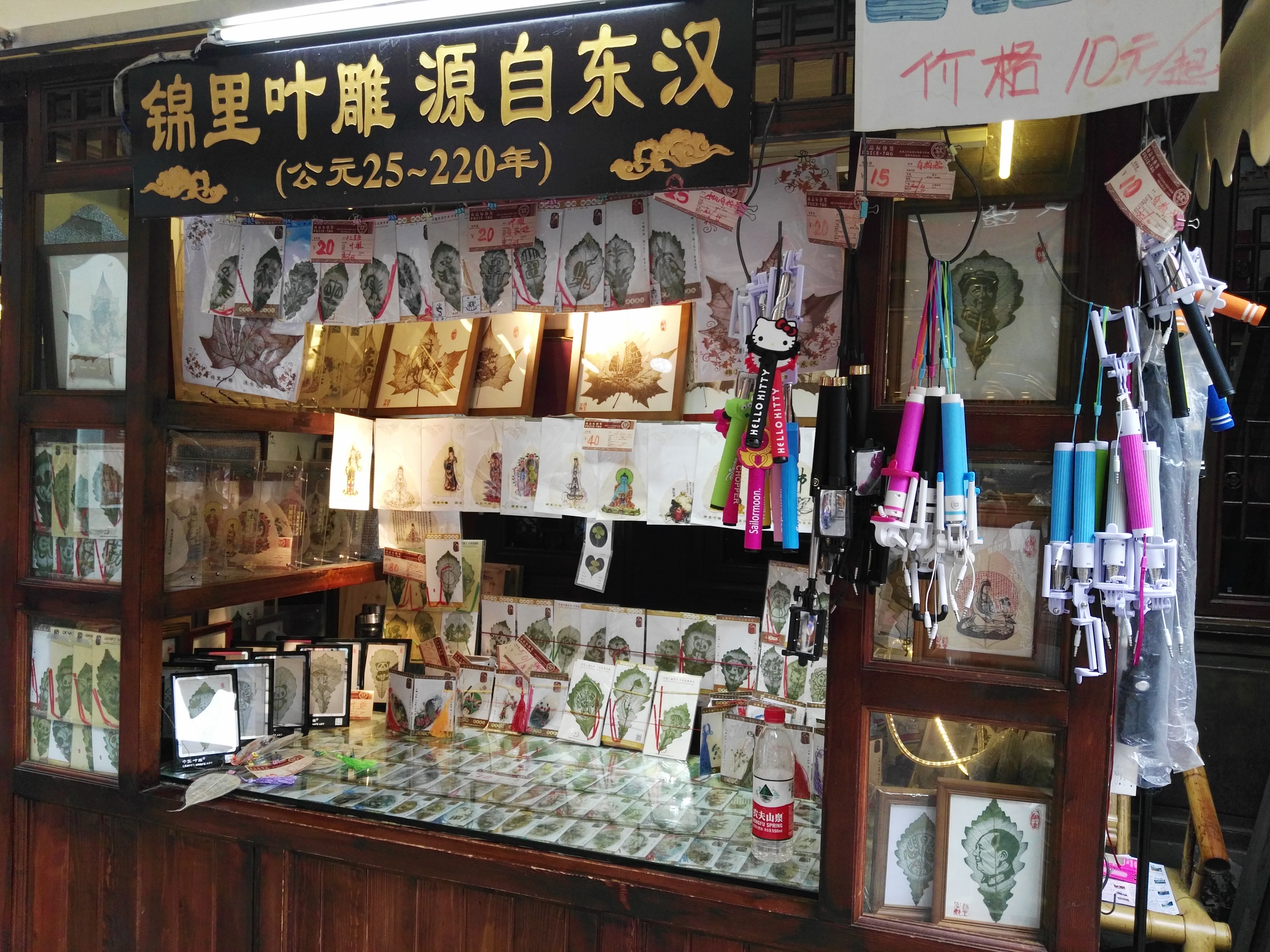 成都游后感,游四川成都作文