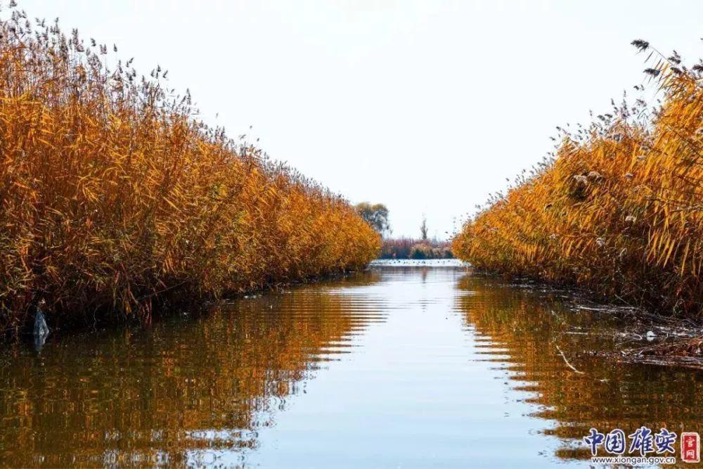 古老潴龙河，成为记忆中久远的童话