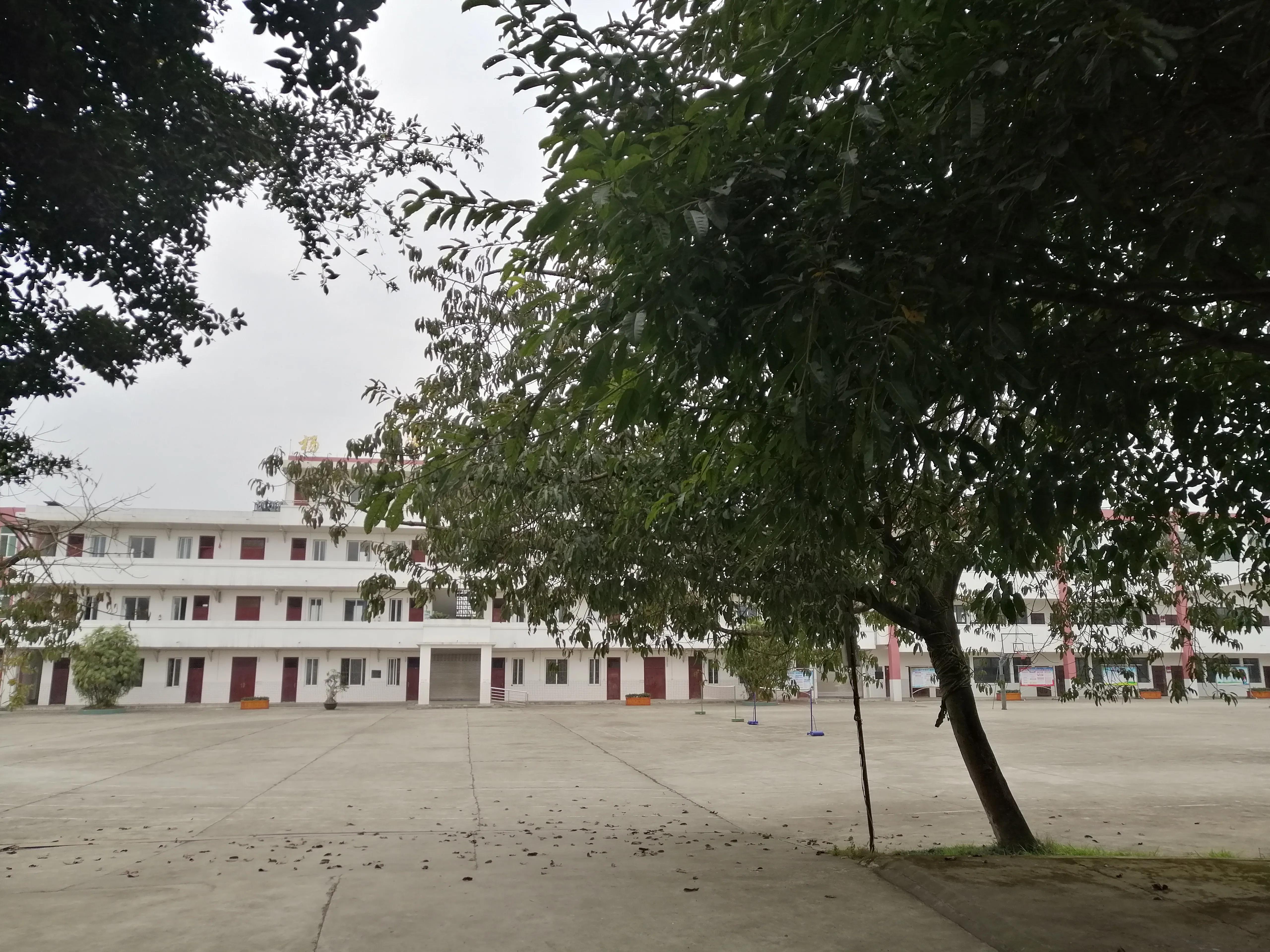 乐山杨湾乡纳入城中心了吗,乐山杨湾乡未来规划